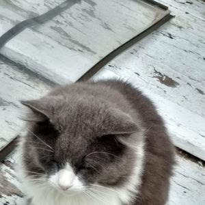 Meet your Posher, Diane